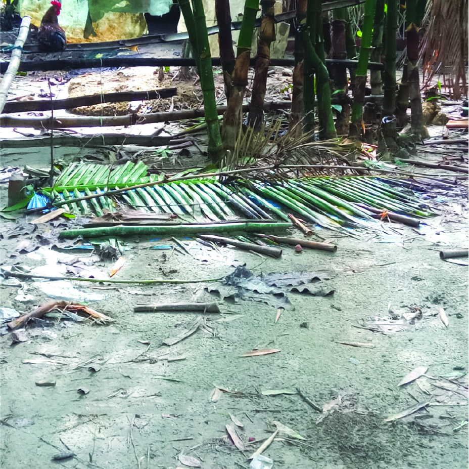 Image of মো:  সিয়াম সরদার (জিহাদ)